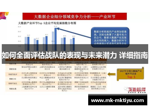 如何全面评估战队的表现与未来潜力 详细指南