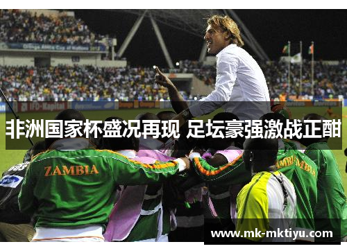 非洲国家杯盛况再现 足坛豪强激战正酣