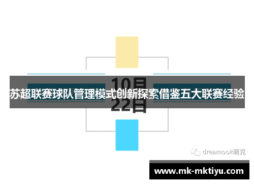 苏超联赛球队管理模式创新探索借鉴五大联赛经验