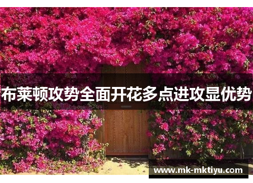 布莱顿攻势全面开花多点进攻显优势